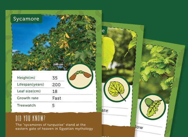 Heart Of England Forest Tree Trumps card designs