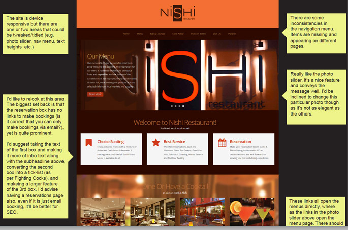 Website audit carried out for Nishi