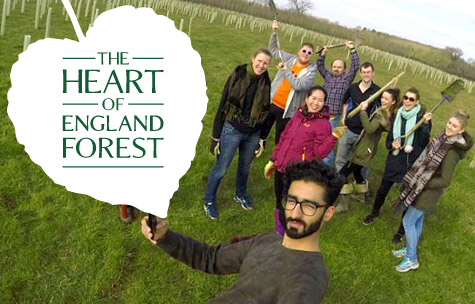 Heart of England Forest Digital Design