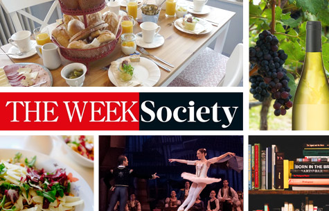 The Week Society Email Marketing