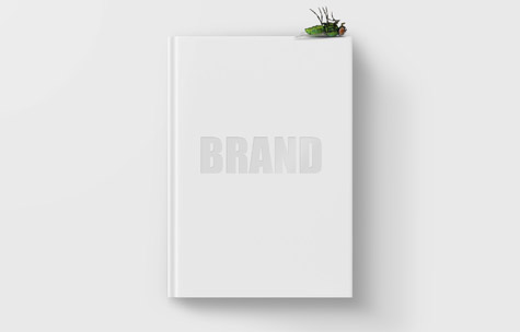 Your Brand Guidelines Possibly Suck and Someone Needs to Tell You